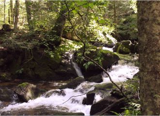 Rivière située en aval de la cascade de Chorsin proche de notre gite la Fenière des hautes Chaumes situé dans le Forez proche de Chalmazel